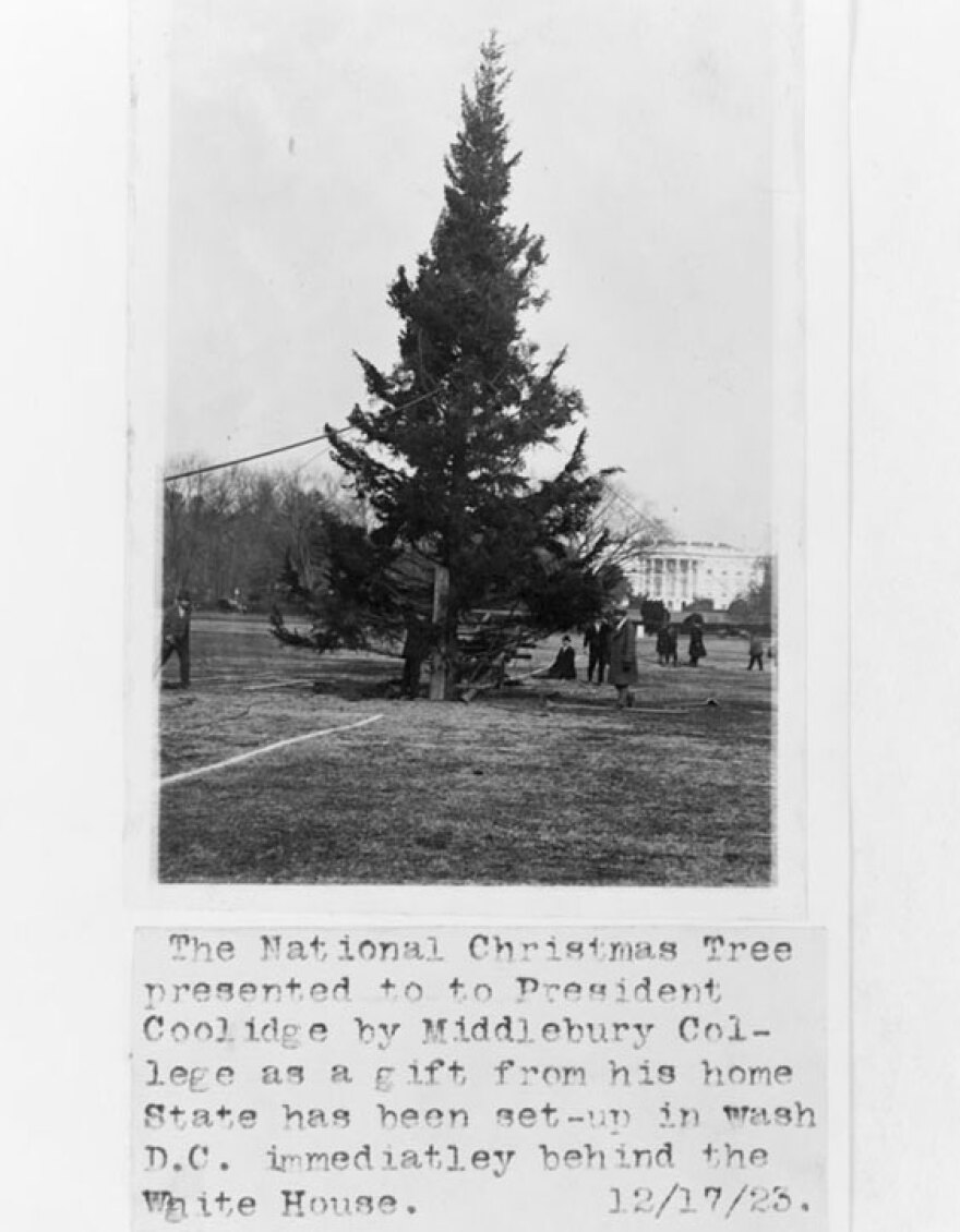 coolidge-christmas-tree