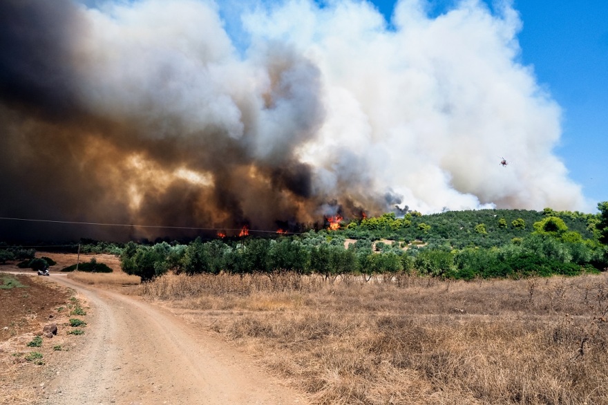 , Φωτιά στην Εύβοια: Προς Βατώντα και Αρτάκη το μεγάλο μέτωπο της φωτιάς στα Ψαχνά