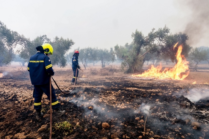 , Φωτιά στην Εύβοια: Προς Βατώντα και Αρτάκη το μεγάλο μέτωπο της φωτιάς στα Ψαχνά