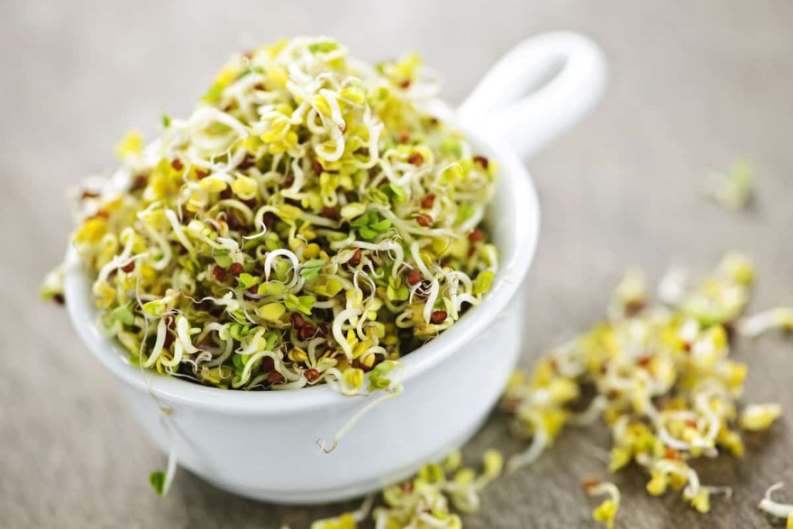 Raw_sprouts