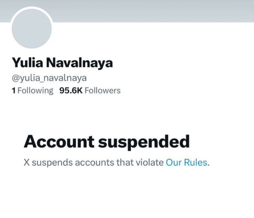 Navalnaya_suspended