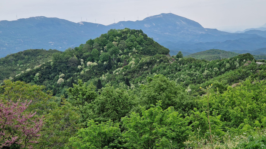 pogoni_ioannina___1_