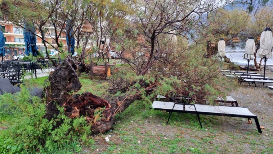 Καλαμάτα: Ζημιές και προβλήματα στον παραλιακό δρόμο από τους ισχυρούς ανέμους