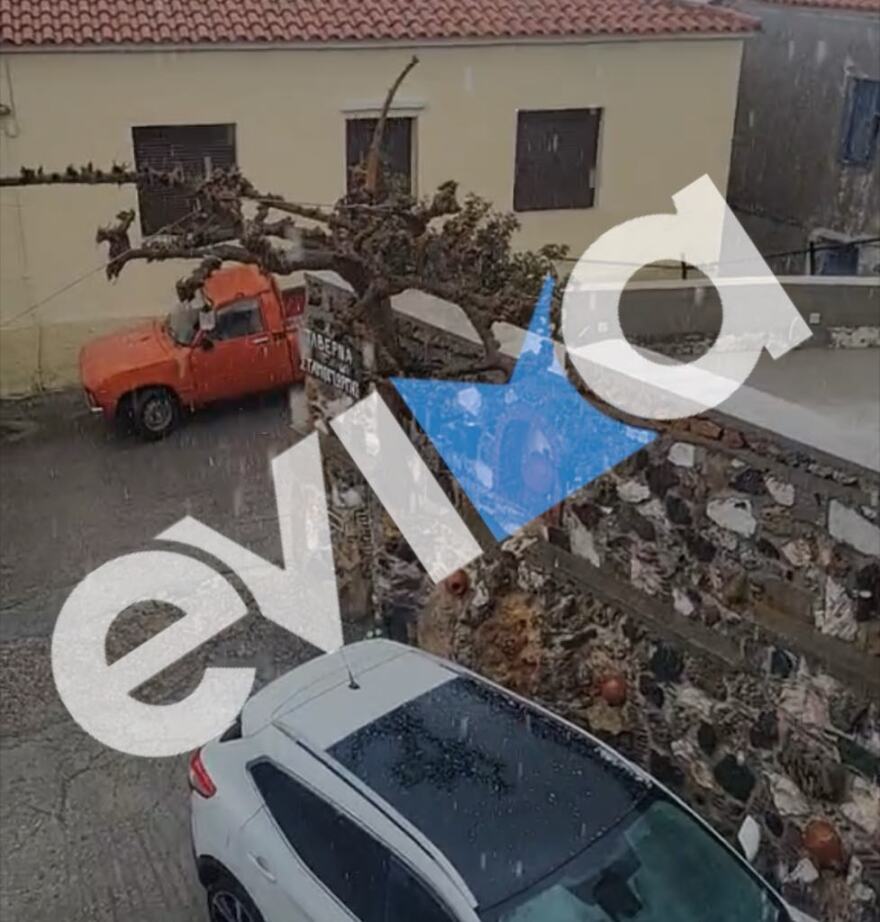 Σφοδρή χαλαζόπτωση στην κεντρική Εύβοια - Δείτε βίντεο και φωτογραφίες