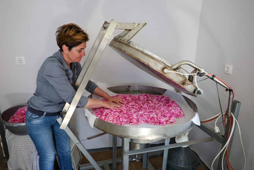 Λέσβος: Ζευγάρι έφυγε από την Αθήνα και παράγει βραβευμένο ροδόσταγμα σε ορεινό χωριό