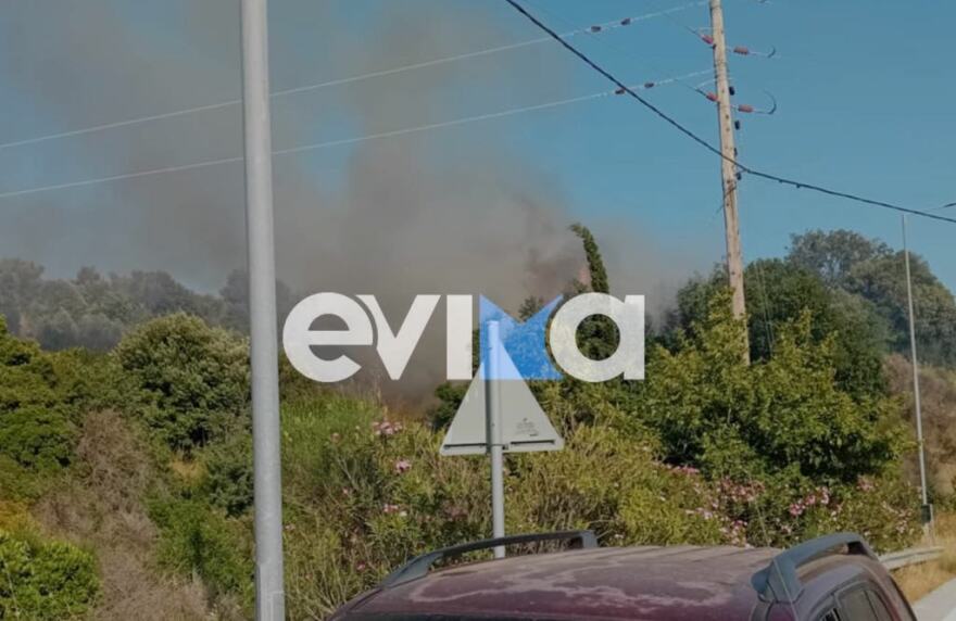 Φωτιά τώρα στην Εύβοια