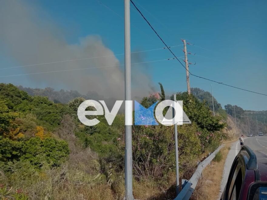 Φωτιά τώρα στην Εύβοια