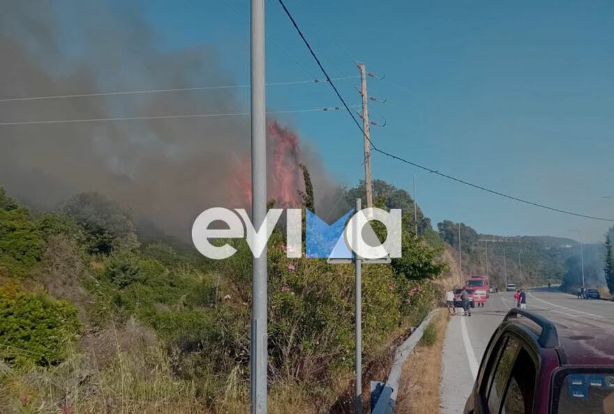 Φωτιά τώρα στην Εύβοια