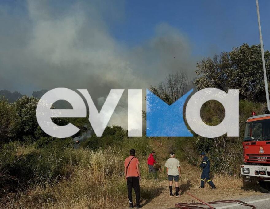 fotia-mesa3