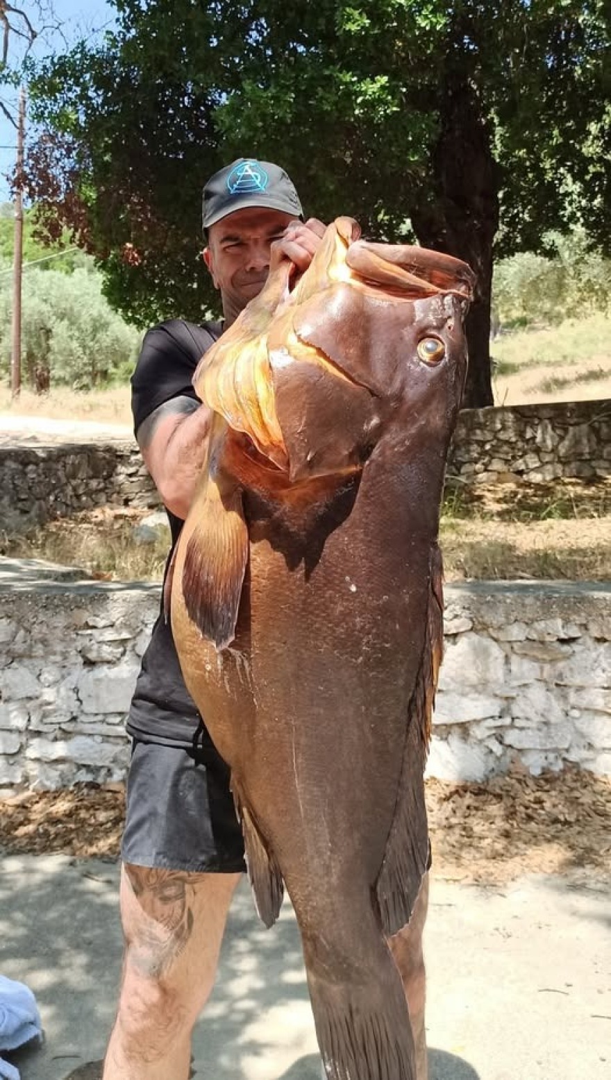 Βόλος: Ψαροντουφεκάς έβγαλε ροφό 27 κιλών - Δείτε φωτογραφία