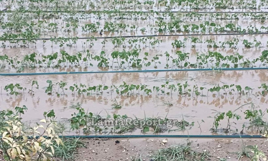 Φθιώτιδα: Άνοιξαν οι ουρανοί στη Λαμία - Πλημμύρες και χαλάζι σε πολλές περιοχές