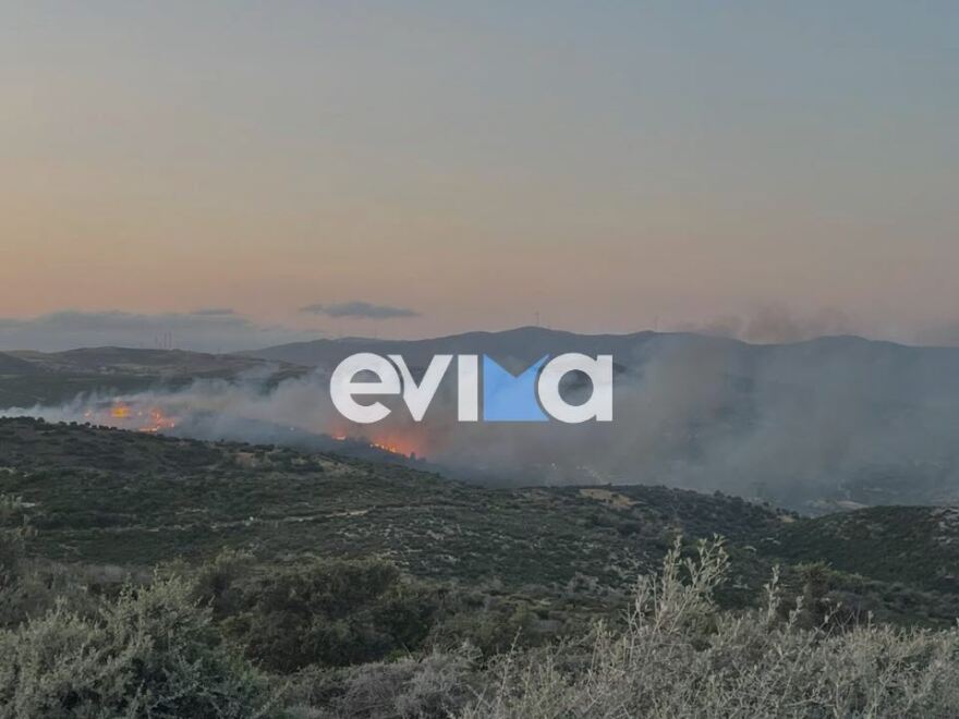 Μεγάλη φωτιά στην Εύβοια: Καίγεται δασική έκταση - Εκκενώθηκε ξενοδοχείο και εστάλη 112