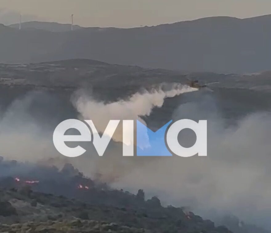 Μεγάλη φωτιά στην Εύβοια: Καίγεται δασική έκταση - Εκκενώθηκε ξενοδοχείο και εστάλη 112