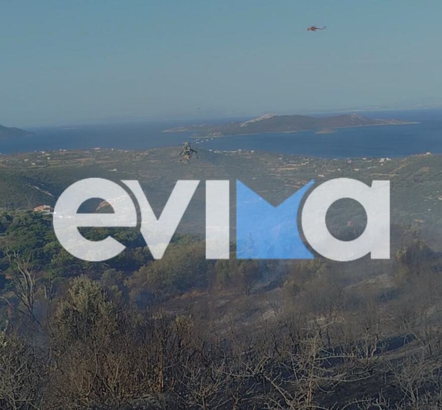 Εύβοια: Οριοθετήθηκε η μεγάλη φωτιά στους Τσακαίους - Παραμένει στο σημείο η Πυροσβεστική