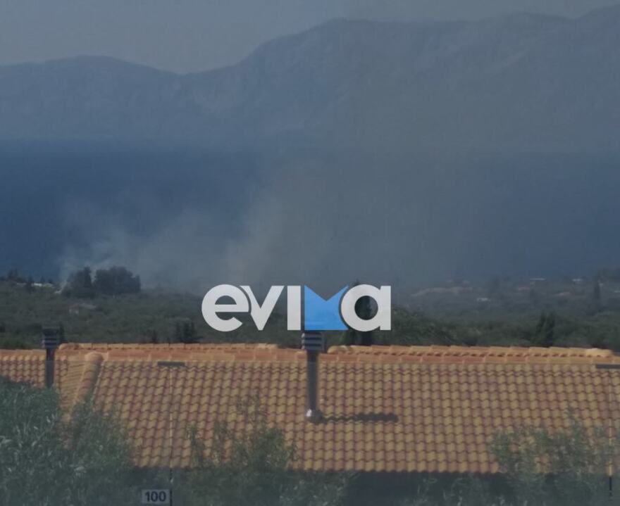 Εύβοια: Φωτιά στα Λουκίσσια 2 Φωτιά κοντά σε ξενοδοχείο στην περιοχή Λουκίσσια Εύβοιας