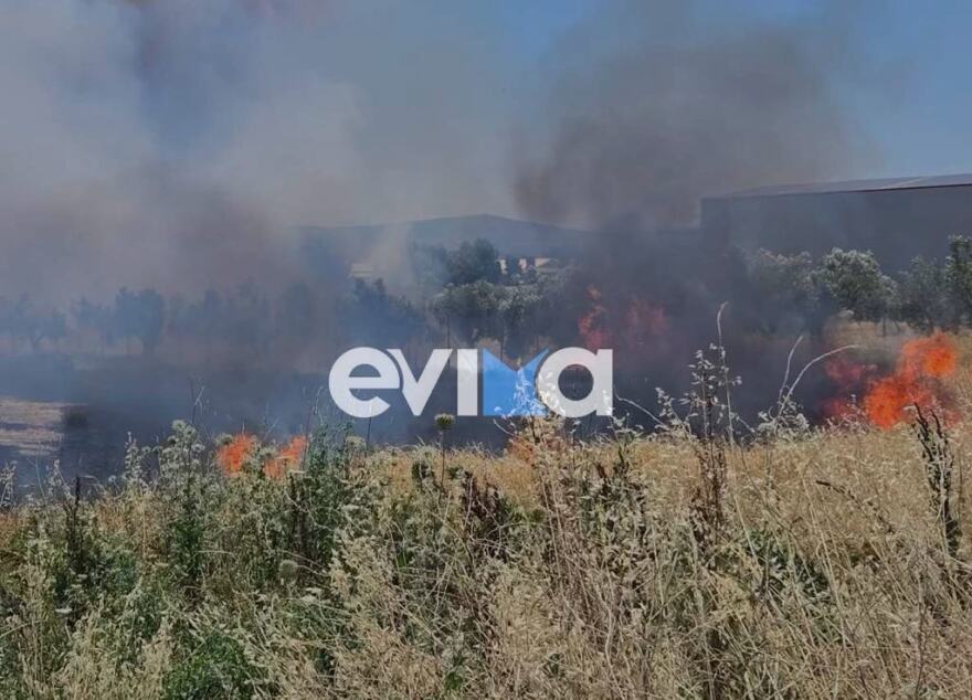 Φωτιά στη Ριτσώνα κοντά σε εργοστάσιο