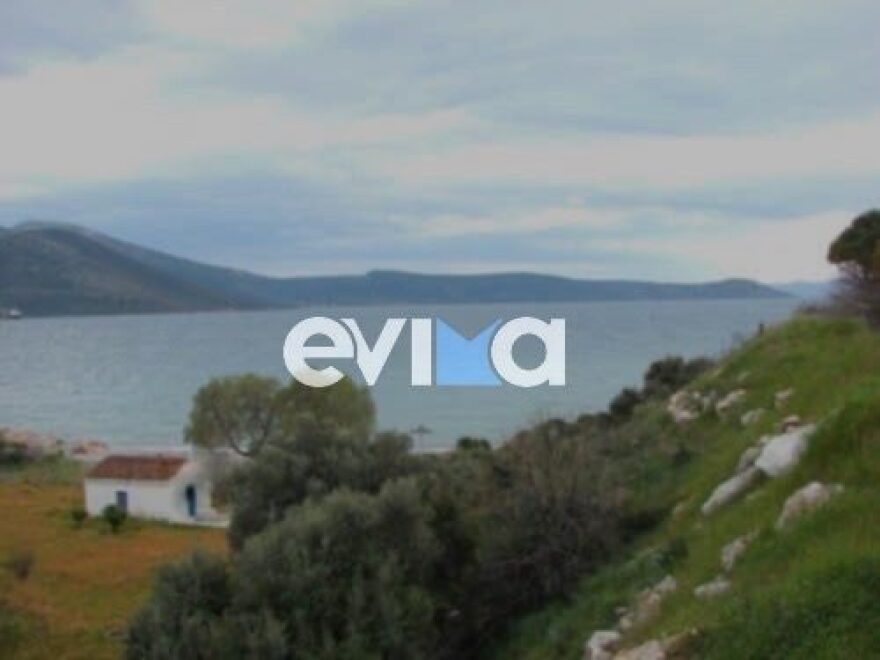 Πάλεψα με τα ρεύματα και έφτασα με δυσκολία, λέει ο αστυνομικός που έσωσε μητέρα και κόρη που παρασύρθηκαν με φουσκωτό στην Εύβοια