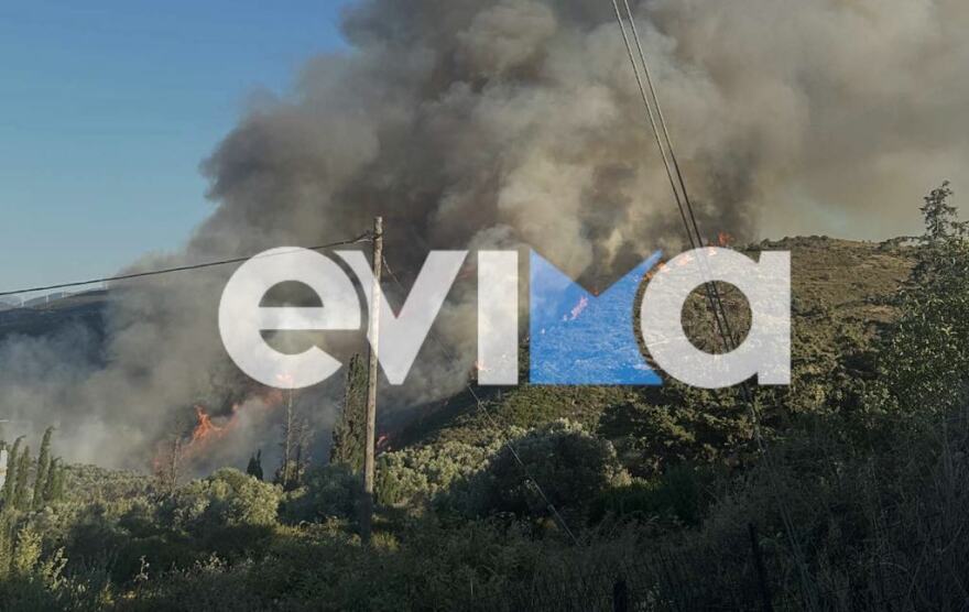 Φωτιά τώρα στα Μεσοχώρια Ευβοίας - Επιχειρούν 18 εναέρια, δείτε βίντεο