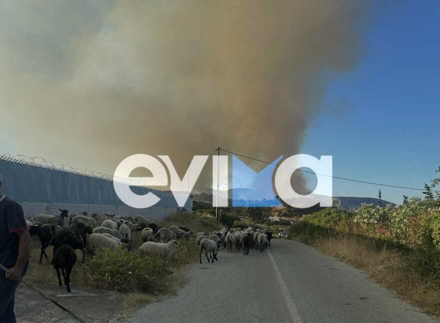 Επιχειρούν εναέρια μέσα στη φωτιά στα Μεσοχώρια της Εύβοιας: Νέο μήνυμα του 112 για εκκένωση του Λιμνιώνα, κοντά σε σπίτια οι φλόγες Επιχειρούν εναέρια μέσα στη φωτιά στα Μεσοχώρια της Εύβοιας: Νέο μήνυμα του 112 για εκκένωση του Λιμνιώνα, κοντά σε σπίτια οι φλόγες - Δείτε βίντεο και φωτογραφίες