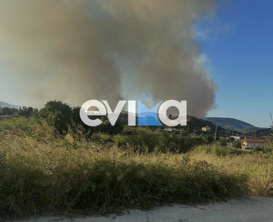 Επιχειρούν εναέρια μέσα στη φωτιά στα Μεσοχώρια της Εύβοιας: Νέο μήνυμα του 112 για εκκένωση του Λιμνιώνα, κοντά σε σπίτια οι φλόγες Επιχειρούν εναέρια μέσα στη φωτιά στα Μεσοχώρια της Εύβοιας: Νέο μήνυμα του 112 για εκκένωση του Λιμνιώνα, κοντά σε σπίτια οι φλόγες - Δείτε βίντεο και φωτογραφίες