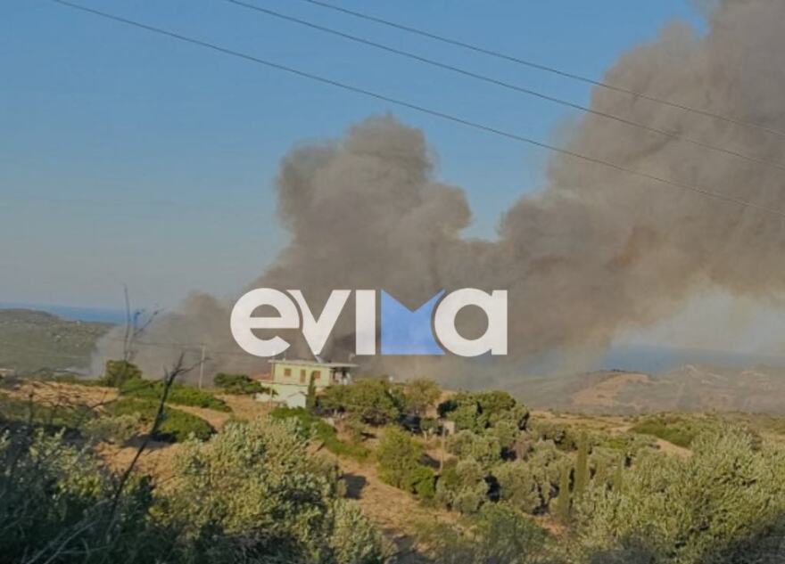 Επιχειρούν εναέρια μέσα στη φωτιά στα Μεσοχώρια της Εύβοιας: Νέο μήνυμα του 112 για εκκένωση του Λιμνιώνα, κοντά σε σπίτια οι φλόγες Επιχειρούν εναέρια μέσα στη φωτιά στα Μεσοχώρια της Εύβοιας: Νέο μήνυμα του 112 για εκκένωση του Λιμνιώνα, κοντά σε σπίτια οι φλόγες - Δείτε βίντεο και φωτογραφίες