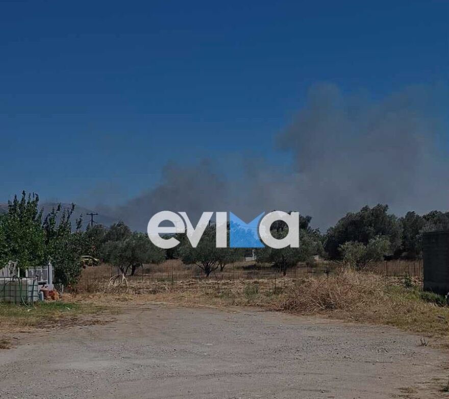 Φωτιά τώρα κοντά σε σπίτια στο Αλιβέρι - 112 για εκκένωση της περιοχής του Ποντικού, επιχειρούν 2 αεροσκάφη και 2 ελικόπτερα