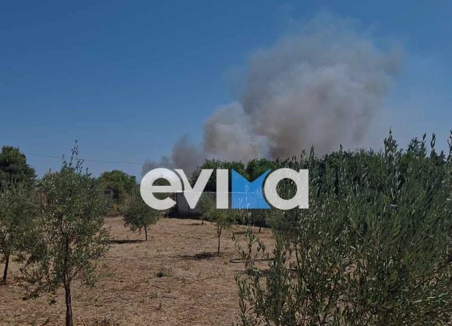 Φωτιά τώρα κοντά σε σπίτια στο Αλιβέρι - 112 για εκκένωση της περιοχής του Ποντικού, επιχειρούν 2 αεροσκάφη και 2 ελικόπτερα