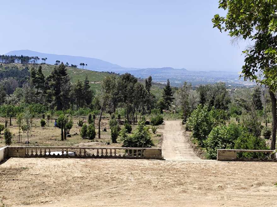 Σε πλήρη εξέλιξη τα έργα στο Τατόι - Μέσα στο 2026 αναμένεται να παραδοθούν τα μουσεία- Δείτε φωτογραφίες