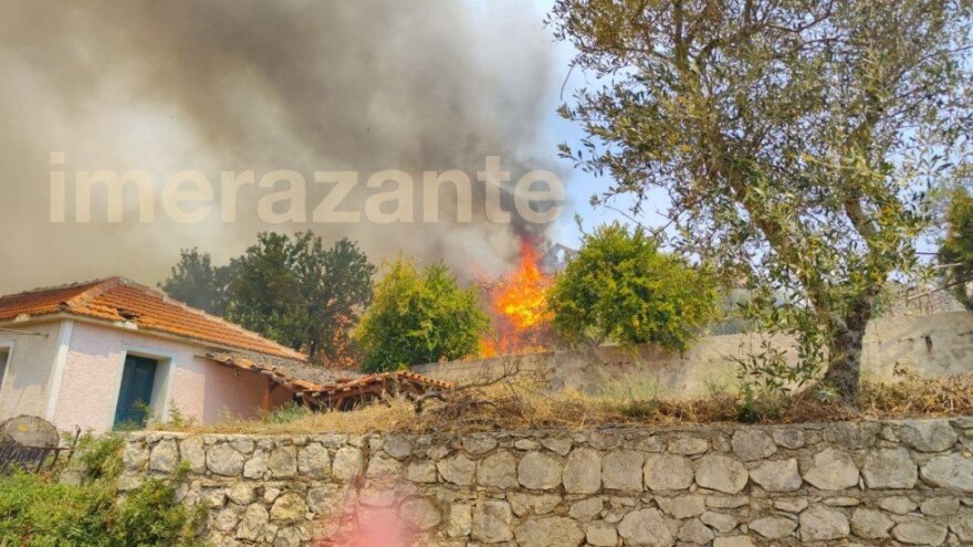 fotia-zakinthos1