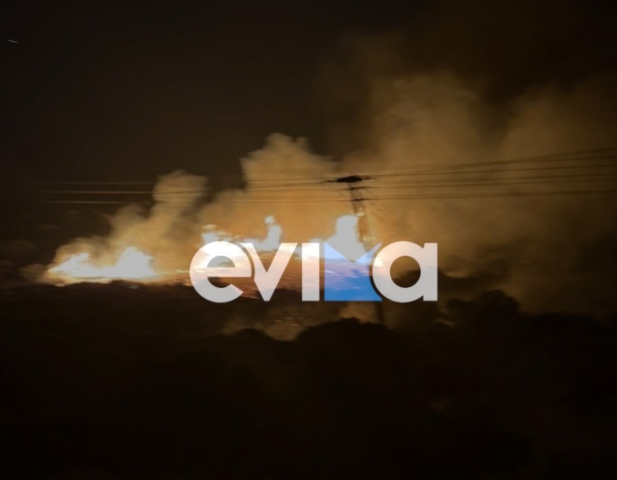 Φωτιά σε δασική έκταση στα Μεσοχώρια Εύβοιας - Δείτε φωτογραφίες