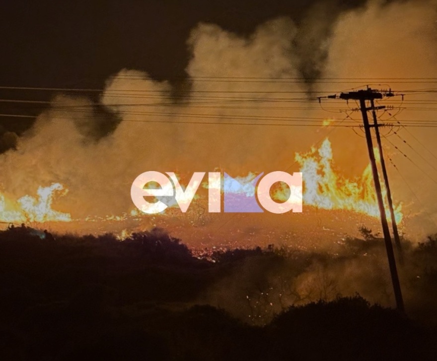 Φωτιά σε δασική έκταση στα Μεσοχώρια Εύβοιας - Δείτε φωτογραφίες