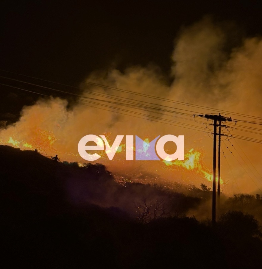 Φωτιά σε δασική έκταση στα Μεσοχώρια Εύβοιας - Δείτε φωτογραφίες