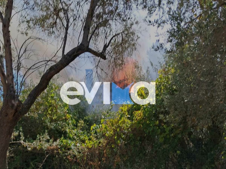 Φωτιά σε σπίτι στα Πολιτικά Εύβοιας: Στο νοσοκομείο με εγκαύματα ο ιδιοκτήτης – Δείτε φωτογραφίες