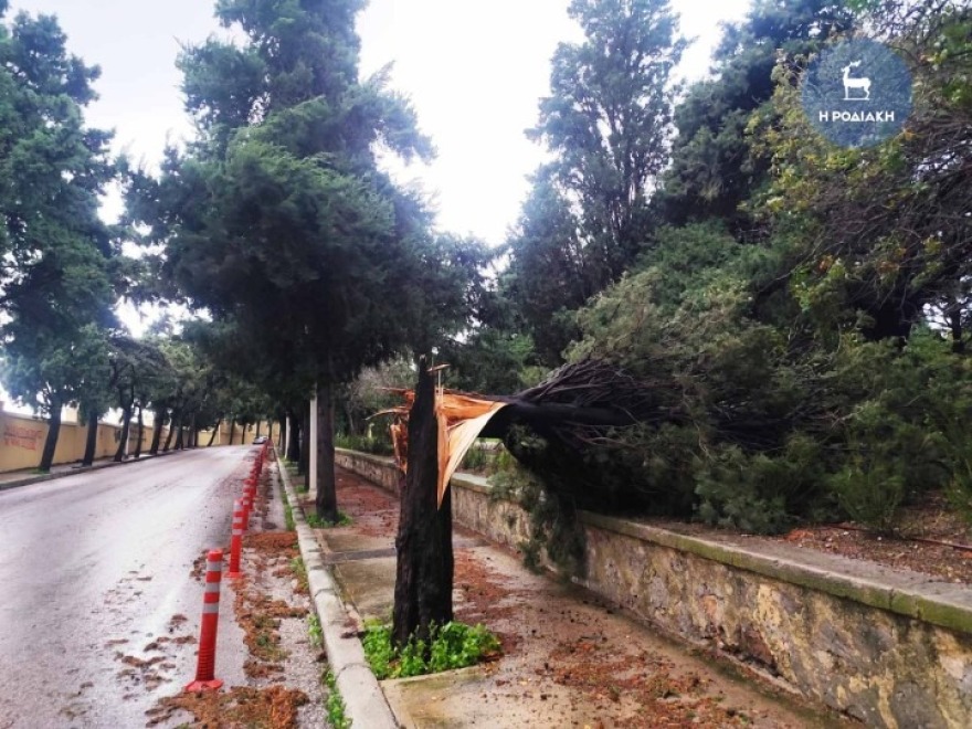 Η κακοκαιρία Byron χτυπάει και τη Ρόδο με πτώσεις δέντρων και δυνατούς ανέμους