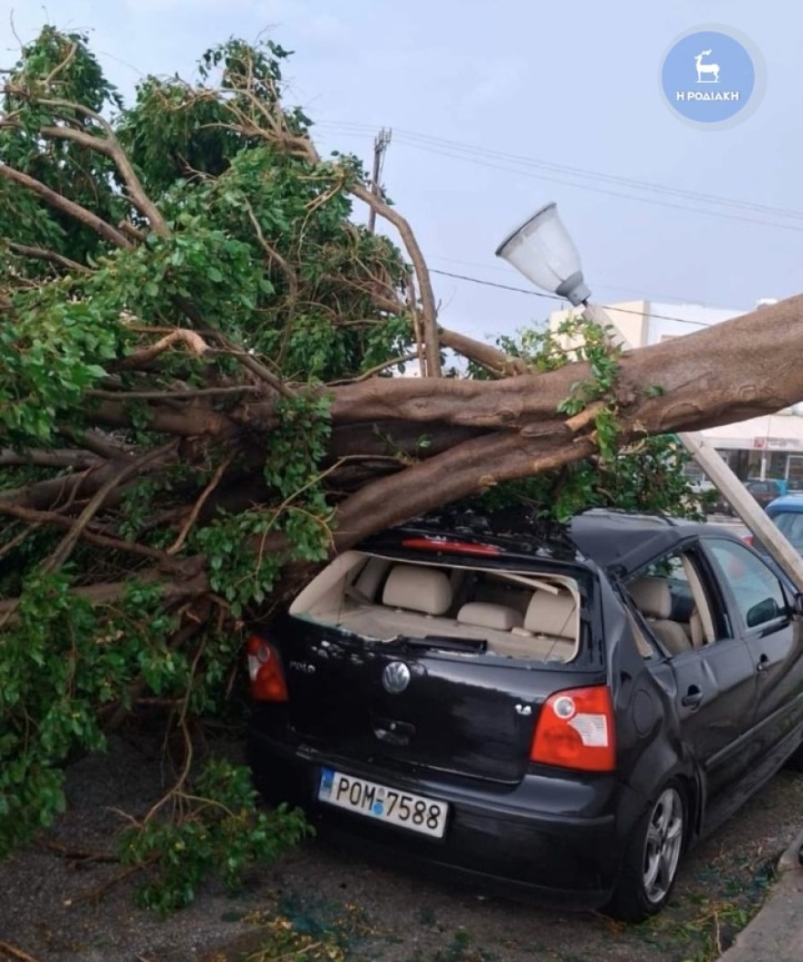 Η κακοκαιρία Byron χτυπάει και τη Ρόδο με πτώσεις δέντρων και δυνατούς ανέμους