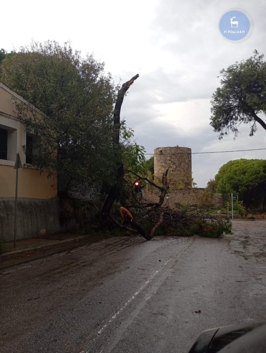 Η κακοκαιρία Byron χτυπάει και τη Ρόδο με πτώσεις δέντρων και δυνατούς ανέμους