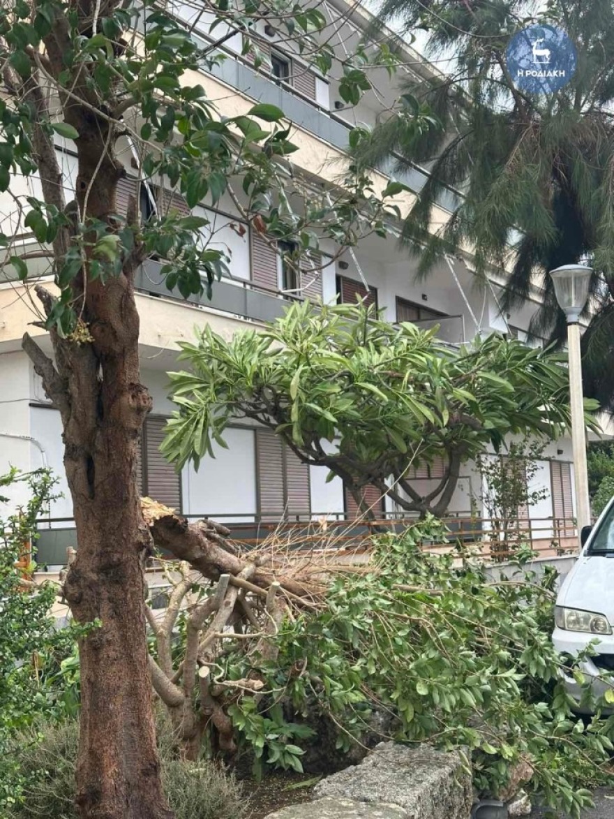 Η κακοκαιρία Byron χτυπάει και τη Ρόδο με πτώσεις δέντρων και δυνατούς ανέμους