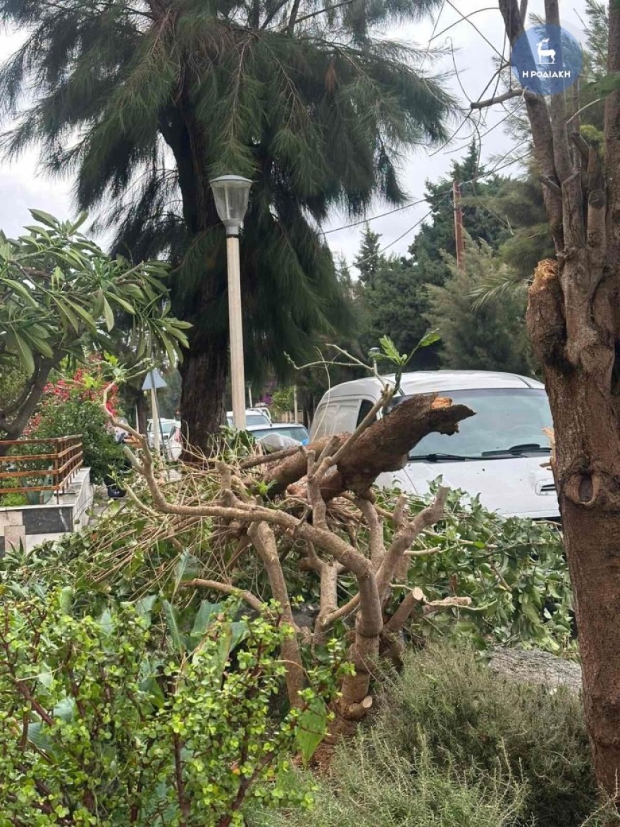 Η κακοκαιρία Byron χτυπάει και τη Ρόδο με πτώσεις δέντρων και δυνατούς ανέμους