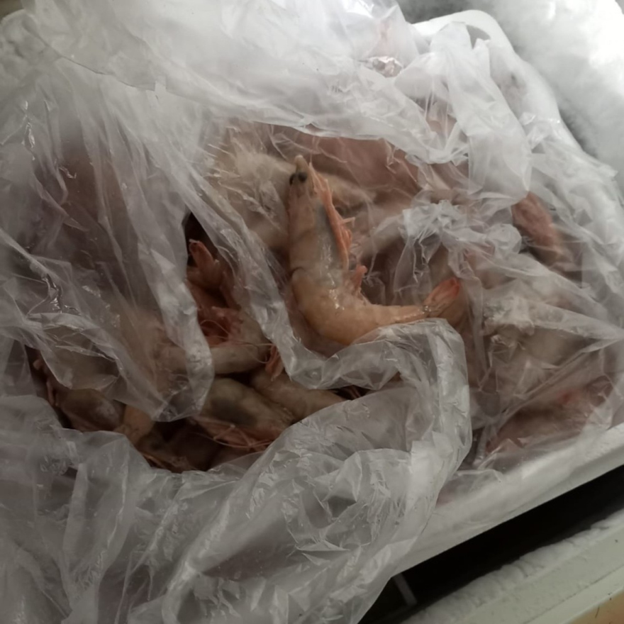 Νέες κατασχέσεις 5,6 τόνων ακατάλληλων τροφίμων από την Περιφέρεια Αττικής 