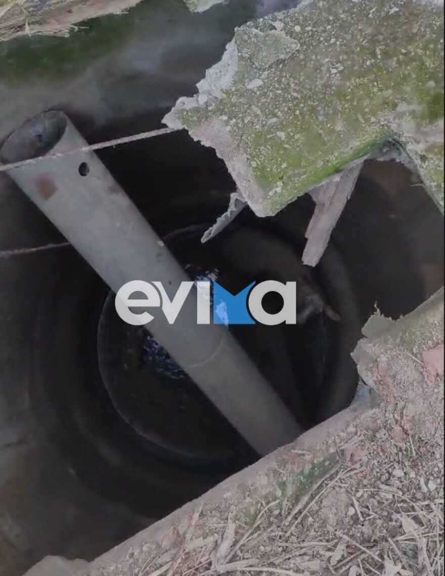 Επιχείρηση διάσωσης προβάτου που έπεσε σε πηγάδι στην Κάρυστο, δείτε φωτογραφίες