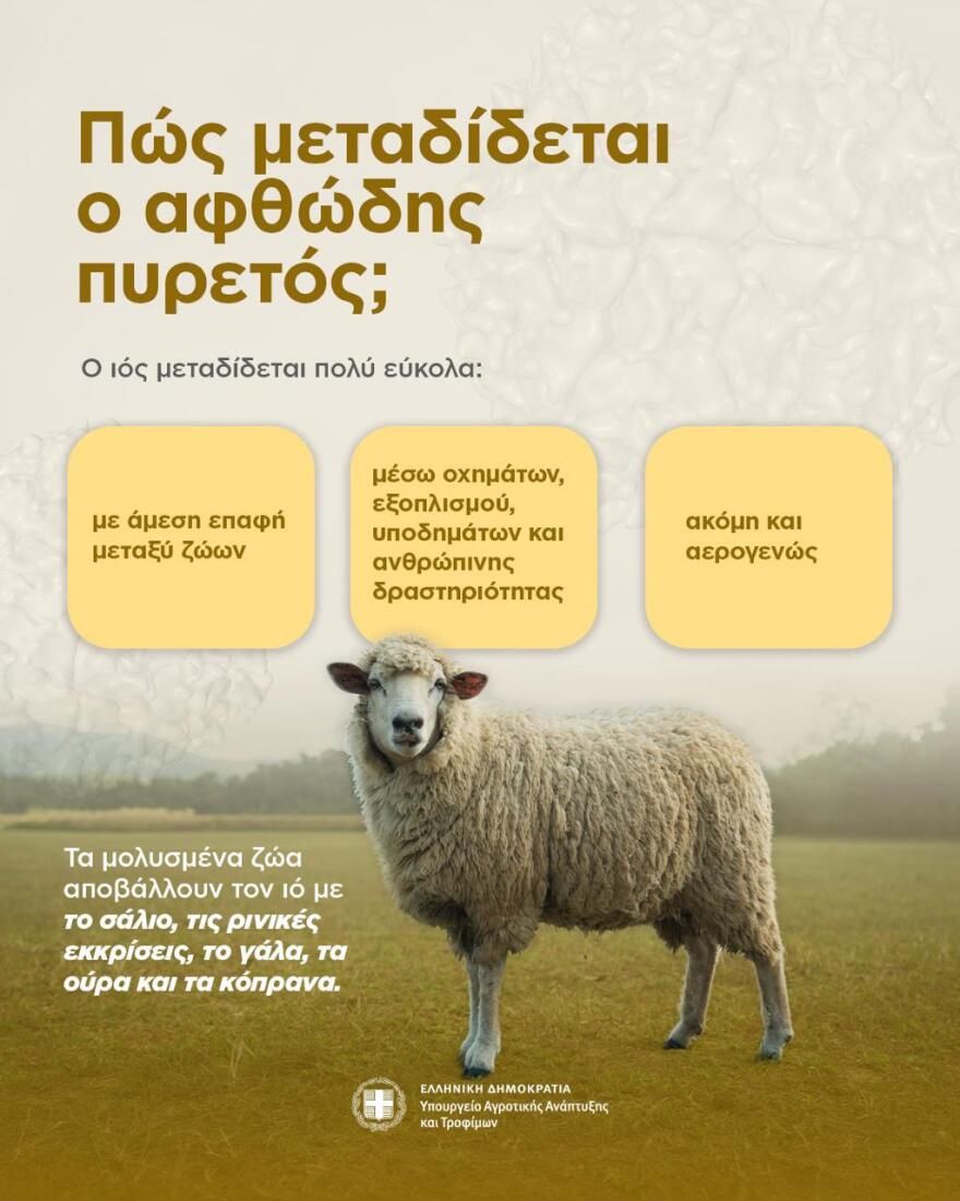 Τι είναι ο αφθώδης πυρετός, τα συμπτώματα και τα μέτρα: Ερωτήσεις και απαντήσεις από το υπουργείο Αγροτικής Ανάπτυξης