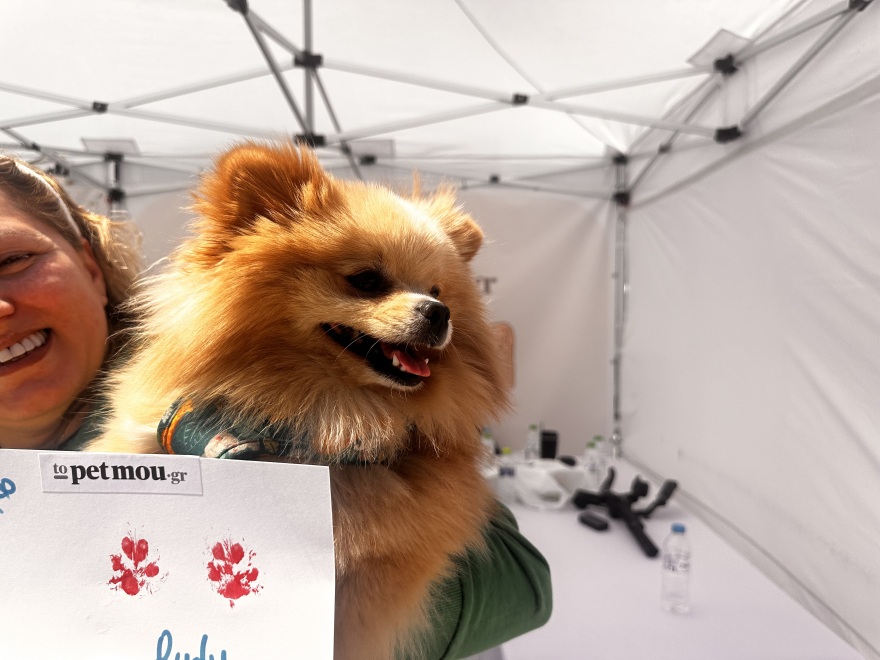 Η μεγάλη γιορτή του topetmou.gr για τα ζώα συντροφιάς στην Καλλιθέα