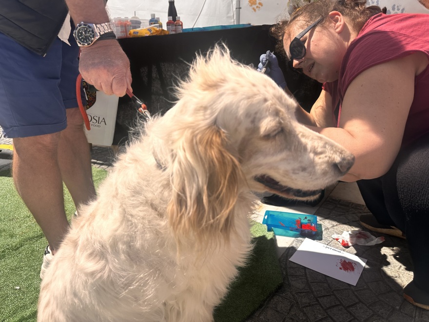 Η μεγάλη γιορτή του topetmou.gr για τα ζώα συντροφιάς στην Καλλιθέα