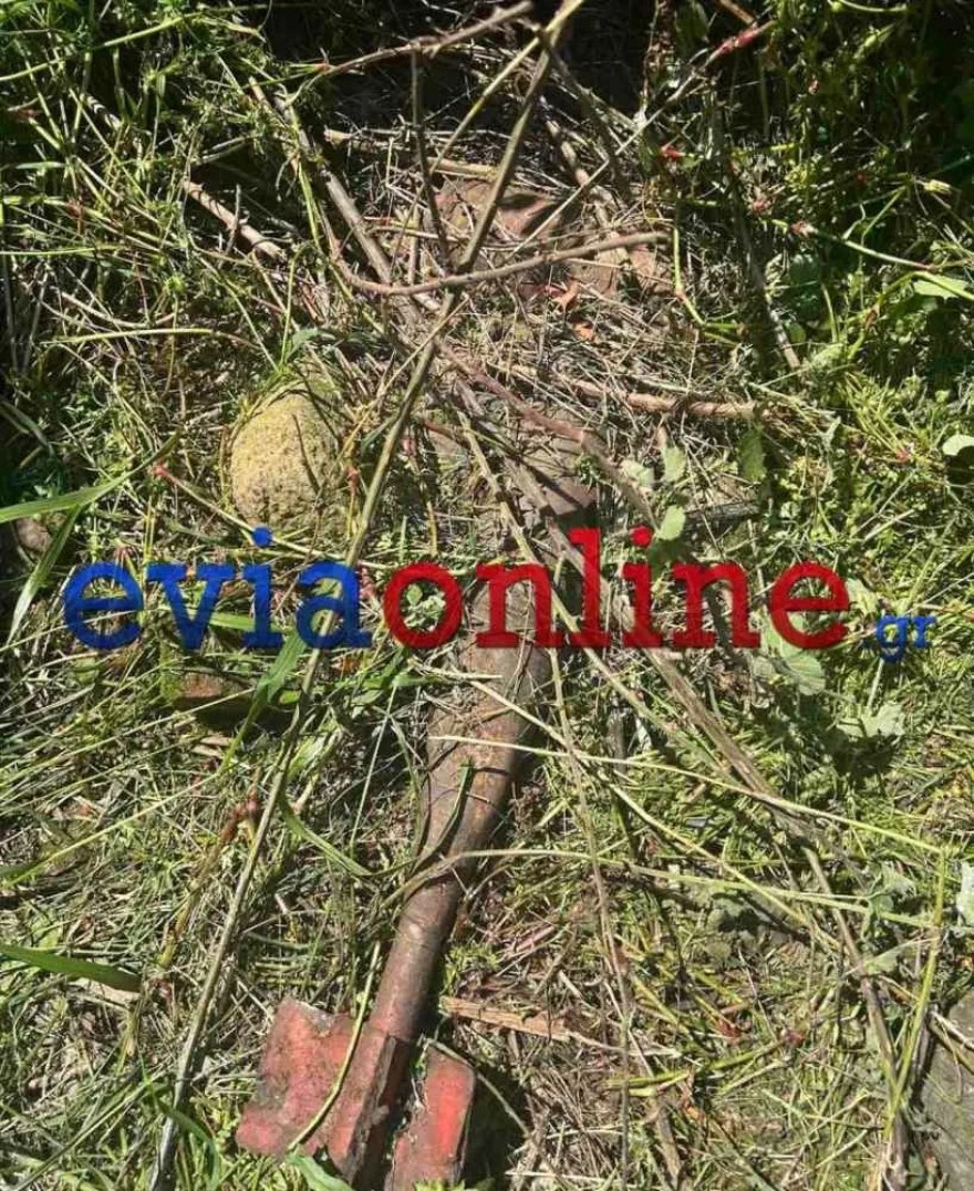 Εύβοια: Καθάριζαν ένα οικόπεδο και βρήκαν... στρατιωτικές ρουκέτες ανάμεσα στα χόρτα