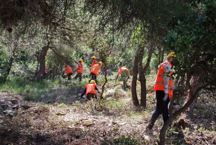 Παπασταύρου: «Η προστασία του περιβάλλοντος αφορά την καθημερινότητα» - Συνάντηση με την Ευρωπαία Επίτροπο Περιβάλλοντος    