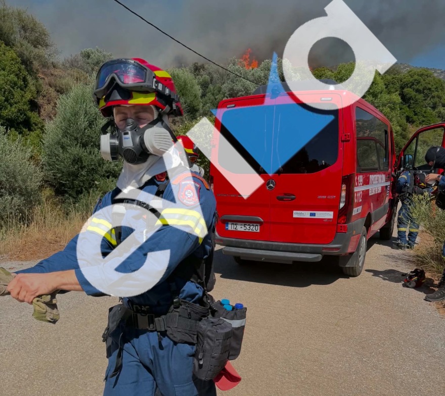 Φωτιά σε δασική έκταση στην Εύβοια – Ισχυρές δυνάμεις στη μάχη της κατάσβεσης