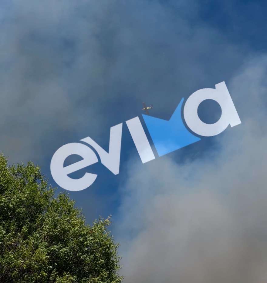 Φωτιά σε δασική έκταση στην Εύβοια – Ισχυρές δυνάμεις στη μάχη της κατάσβεσης