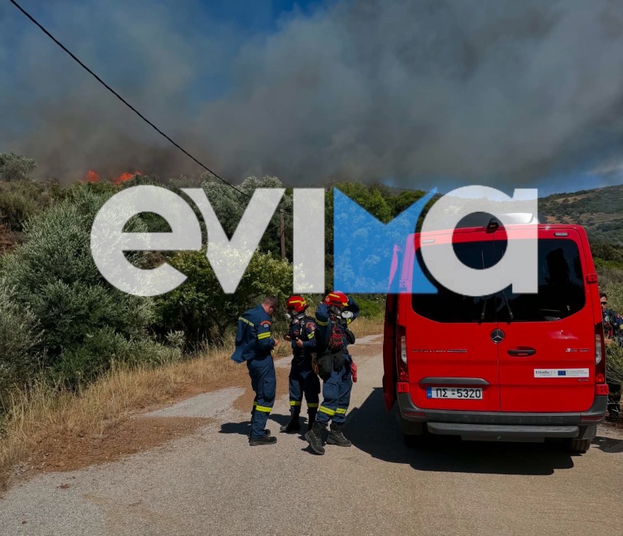 Φωτιά σε δασική έκταση στην Εύβοια – Ισχυρές δυνάμεις στη μάχη της κατάσβεσης