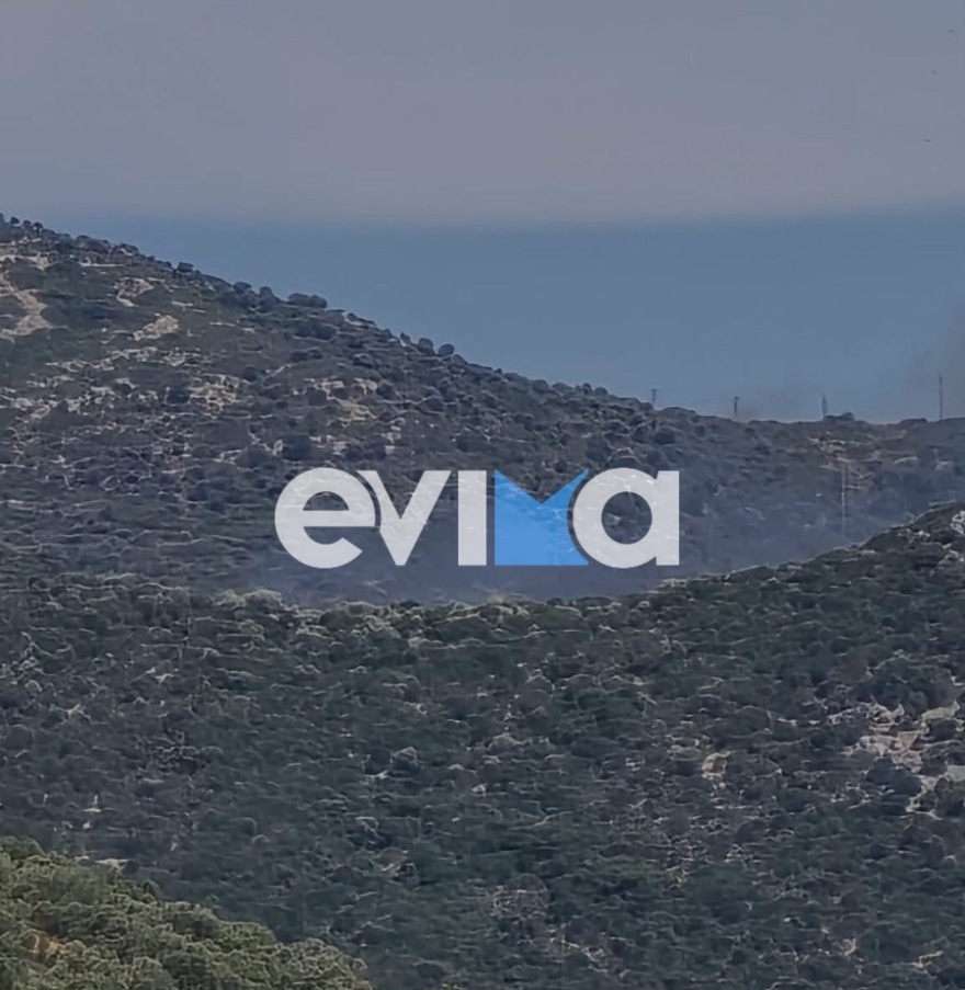 Φωτιά σε δασική έκταση στην Εύβοια – Ισχυρές δυνάμεις στη μάχη της κατάσβεσης