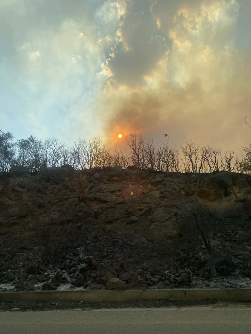 Καλύτερη η εικόνα της φωτιάς στο Καλαπόδι Φθιώτιδας, δείτε βίντεο και φωτογραφίες
